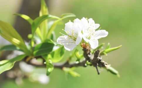 手掌脱皮怎么回事 受6大因素影响(图3) 手掌脱皮怎么回事 手掌脱皮严重吗 手掌脱皮怎么办