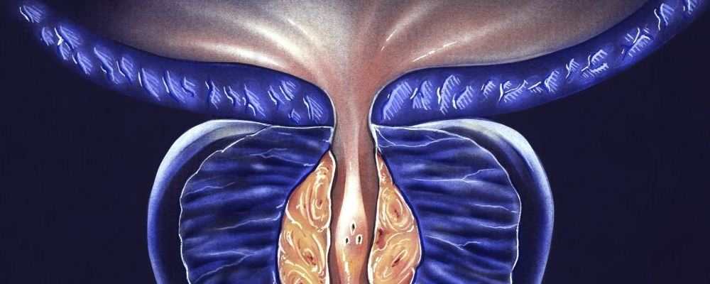 泉州晋江男人前列腺炎危害大 以下常识要记牢(图1) 前列腺炎有什么症状 治疗前列腺应注意什么 前列腺需要注意什么