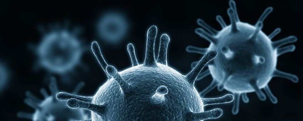 纽约70%染不明综合征儿童进ICU 不明综合症是什么(图1) 不明综合征是什么 新型冠状病毒的儿童患者出现不同症状有什么 为什么儿童会出现不明综合征