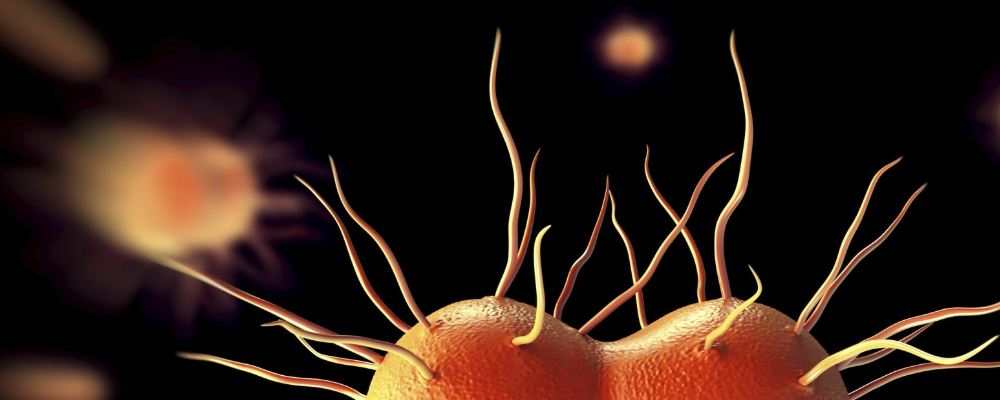 高温天能摘口罩吗 高温下如何科学戴口罩(图1) 高温天能摘口罩吗 高温下如何科学戴口罩 可以戴口罩跑步吗